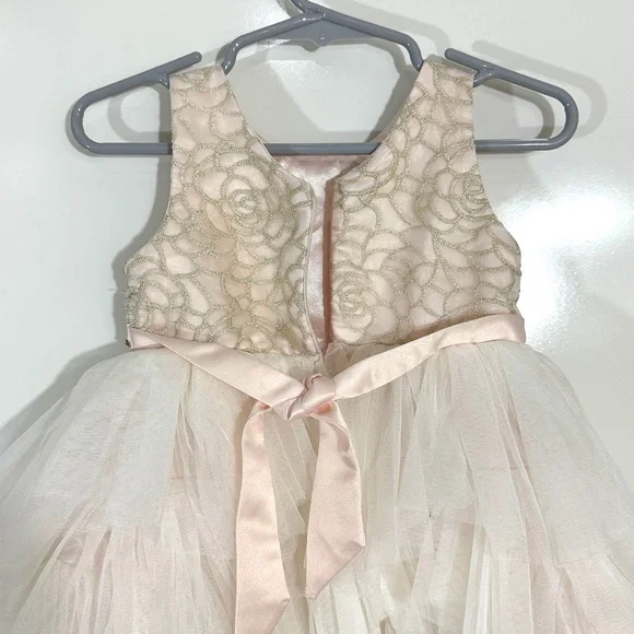American Princess Cream & Pink Formal Dress - Picture 4 of 7